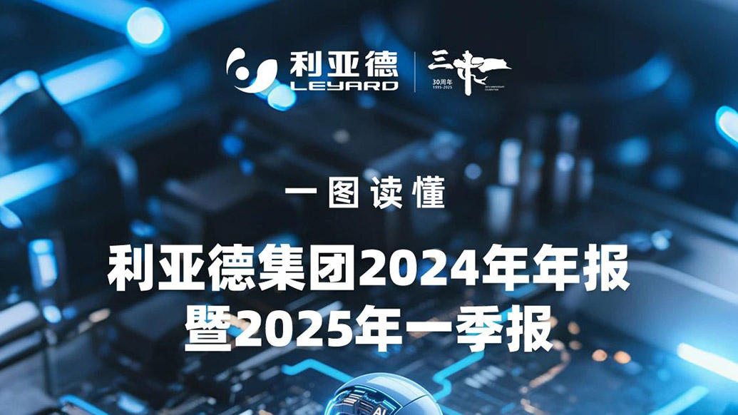 ΰ�¹��ʹ�������2024���걨��2025��һ�������
